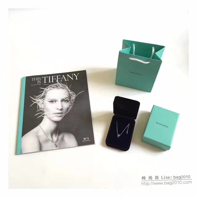 Tiffany純銀飾品 蒂芙尼女士專櫃爆款羅馬數字圓形吊墜項鏈  zgt1721